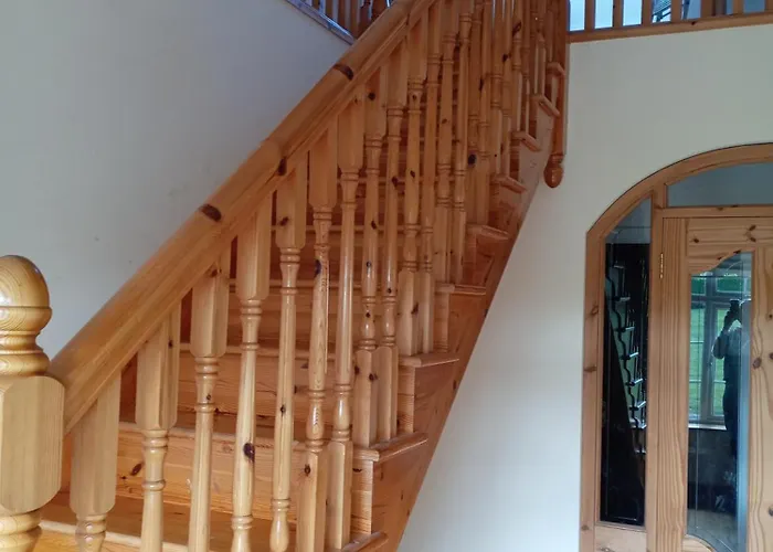 Charlestown 홈스테이 던독