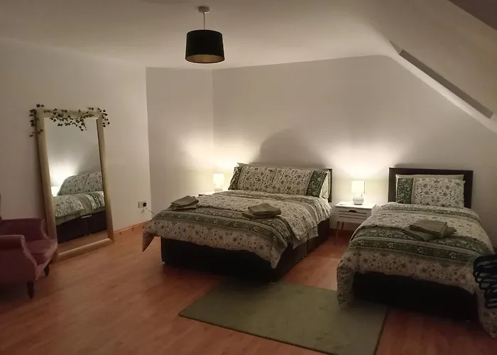 Charlestown 홈스테이 던독