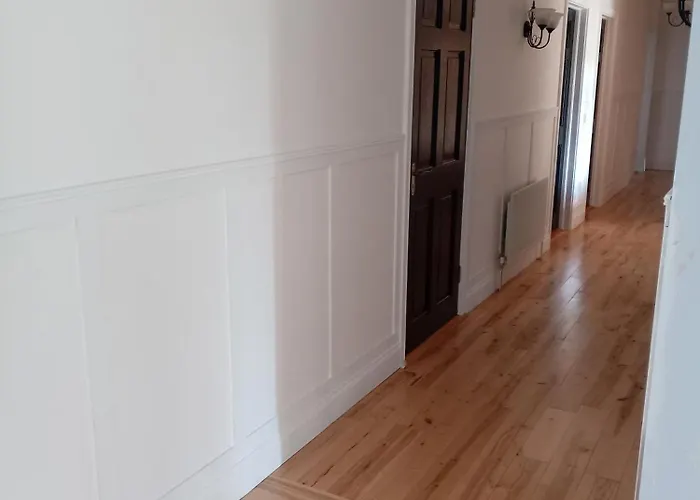 Charlestown 홈스테이 던독